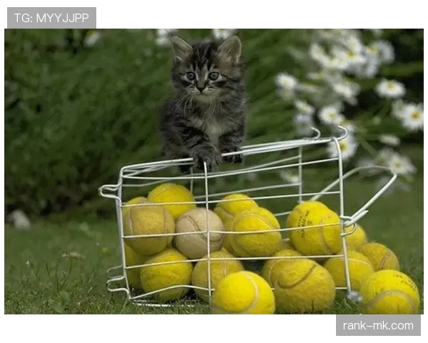 祖布门迪低失误率与高触球占比的稳定性分析